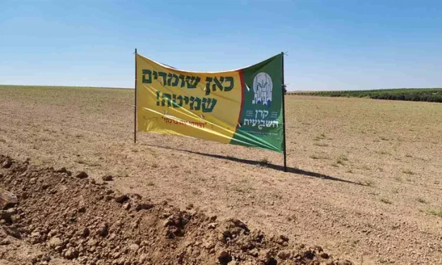 Shmita as a continuation of the revelation at Sinai