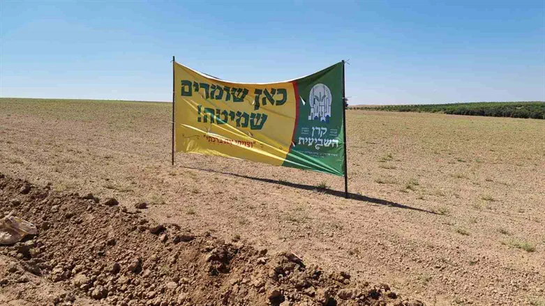 Shmita as a continuation of the revelation at Sinai