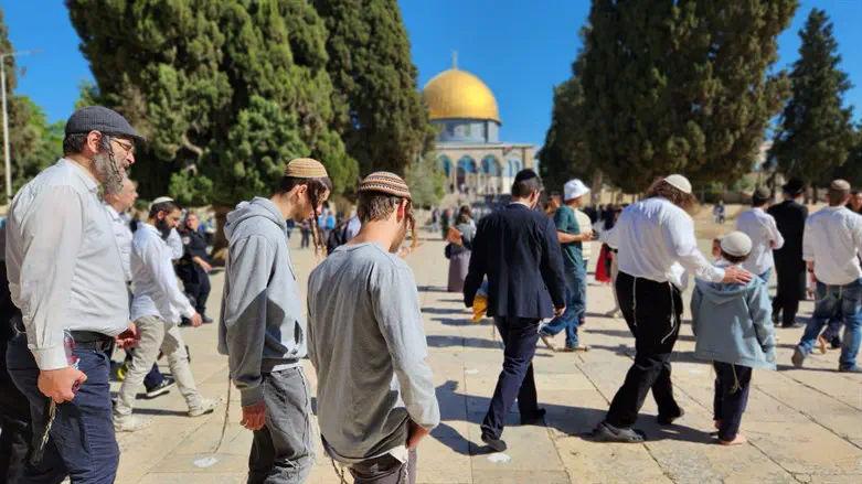 Senior religious Zionist rabbis warn against Temple Mount visits