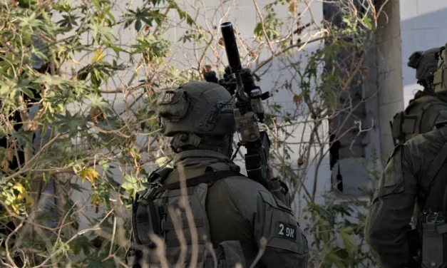 Hamas official urges Palestinian Arabs to increase resistance