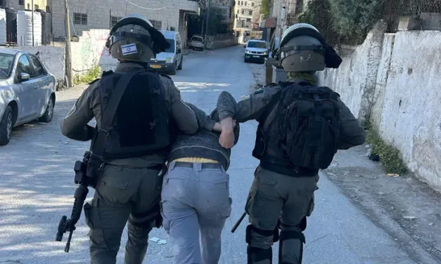Arab teen attempted to carry out terror attack using AI