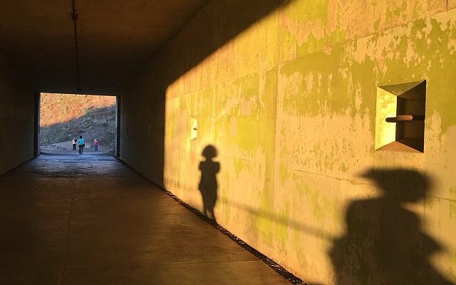 David Rosh Pina | Lost in Acceleration: An Israeli Story