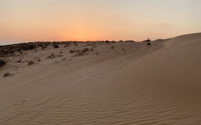 Ruthie Hollander | The Desert of Edmond Jabès