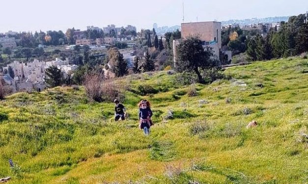 Anne Gordon | Vibrant Jerusalem