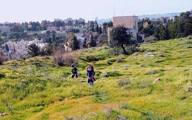 Anne Gordon | Vibrant Jerusalem