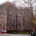 NYC 1-month-old fatally mauled by family puppy while parents slept