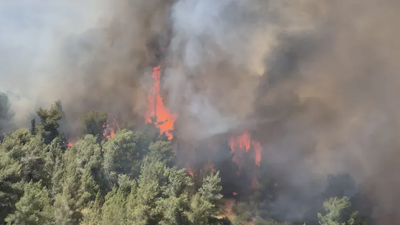 Fire crews work to fight Jerusalem wildfire