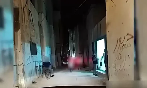 Watch: Undercover soldiers enter store & come out with wanted terrorist
