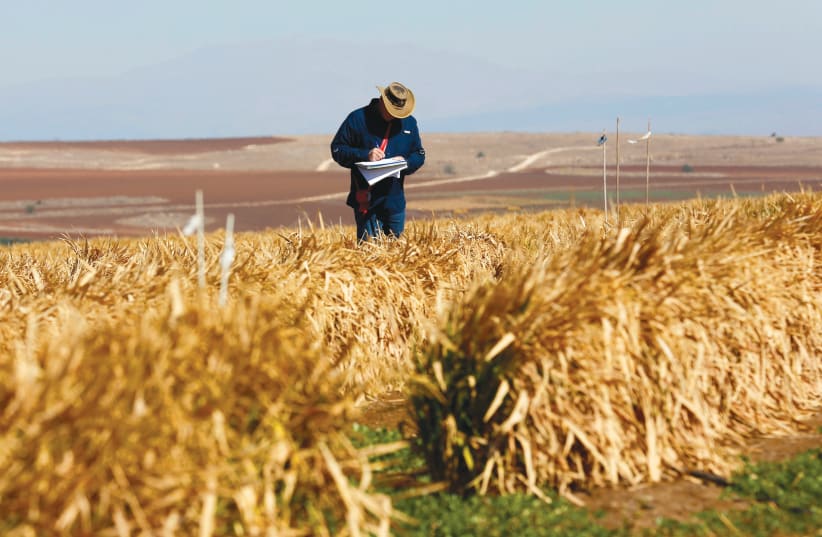 Israel’s drought is a public health and food security crisis