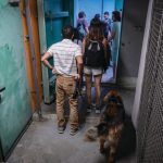 My Word: The dogs (and cats) of war with Iran