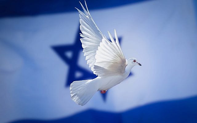 Sahar Saeed | A Love Letter to Israel