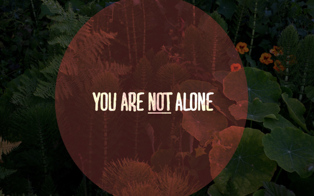 Ben Lazarus | Am I Alone? The Answer Was Overwhelming
