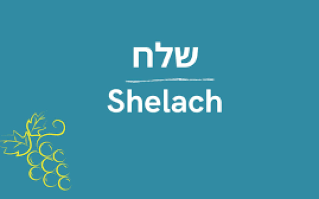 Ari Sliffman | Parshah Through the Mediator’s Lens: Shelach