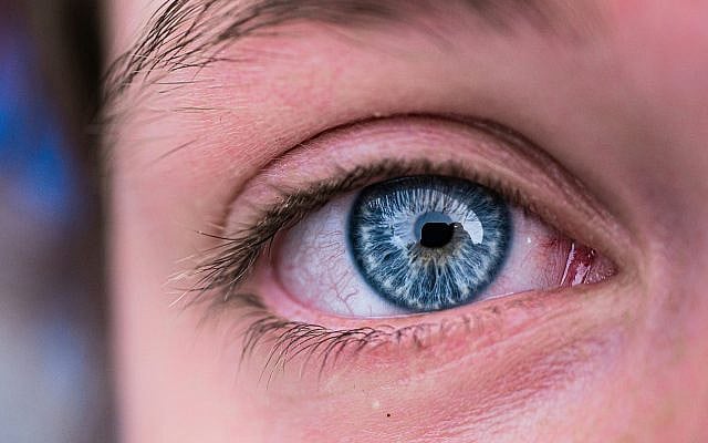 Shayna Goldberg | In the blink of an eye