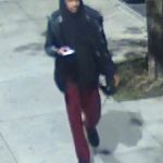 Creep allegedly told random women they had a spider walking on them — and then groped them: NYPD