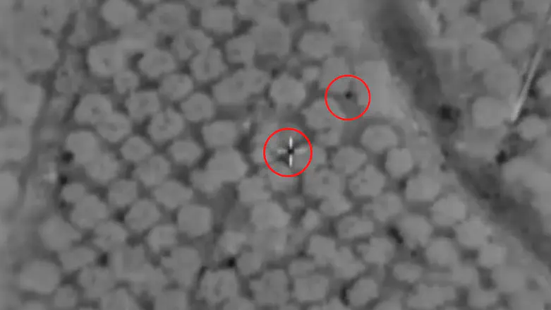 IDF eliminates key Radwan Force terrorist