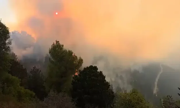 Forest fire rages in the Jerusalem mountains