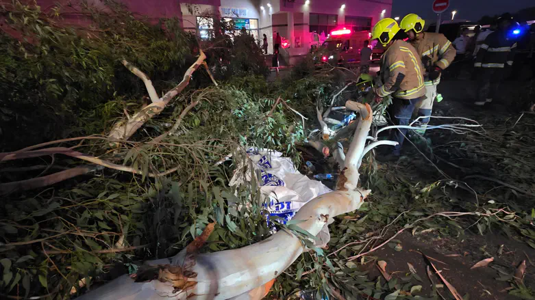Man killed by fallen tree while getting water for pregnant wife