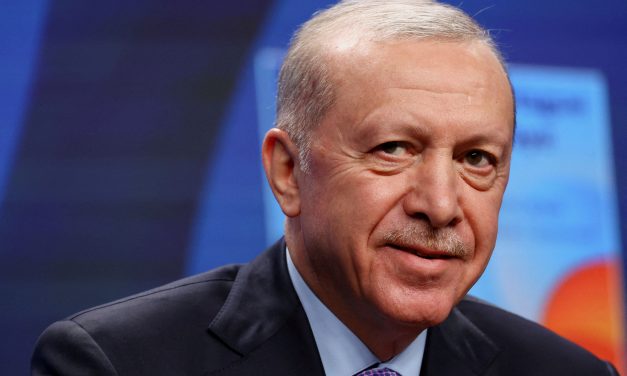 Turkey blocks X’s Grok chatbot for alleged insults to Erdogan