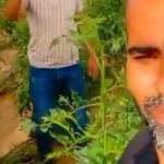 Israel arms Fatah-linked militias, combatting Hamas in Gaza