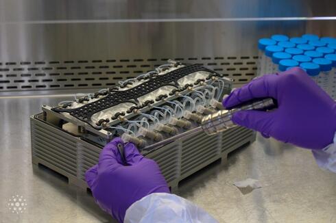 Israeli scientists send bacteria to space on NASA and SpaceX mission in bid to map disease evolution