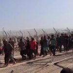 Israel faces claims of firing on civilians; reservist says mob tried to overrun aid corridor