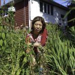 Long Islander taken to court over 6-foot-tall natural garden: ‘I can’t plant some good flowers?’
