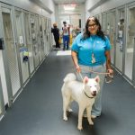 Trouble-packed NYC animal shelters land another $1M in taxpayer funds — GOP’s Sliwa slams as ‘drop in the bucket’