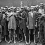 World’s Jewish population still hasn’t recovered from the Holocaust, shocking analysis shows: ‘Reminder of how many people we lost’