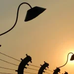 German court bans keffiyehs in Buchenwald concentration camp