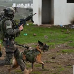 IDF soldiers: Dismissal of dog handler left us without crucial support