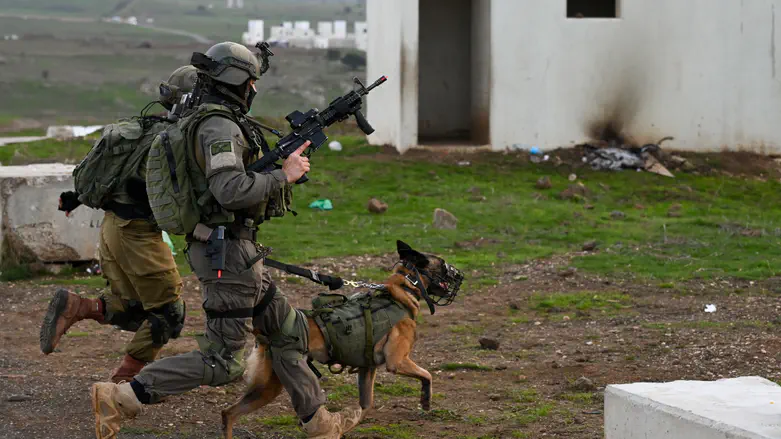 IDF soldiers: Dismissal of dog handler left us without crucial support