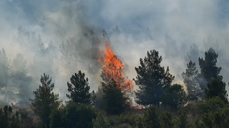 Firefighters battle blaze near Beit Shemesh
