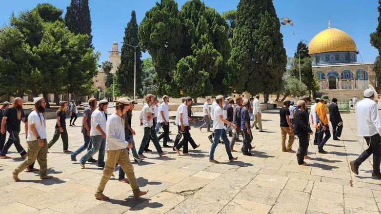 Unity on the Temple Mount: New body to lead Jewish ascents
