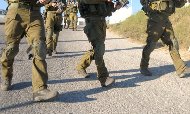 Combat reservist found dead near Tiberias in IDF’s 17th suicide case this year