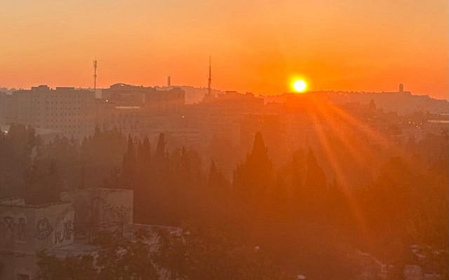 Yulia Medovoy Edelshtain | Fellow Jews, you are on the wrong side of history