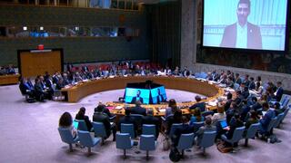 Hostage’s brother tells UN Security Council: ‘Your silence is the face of this monstrous cruelty’