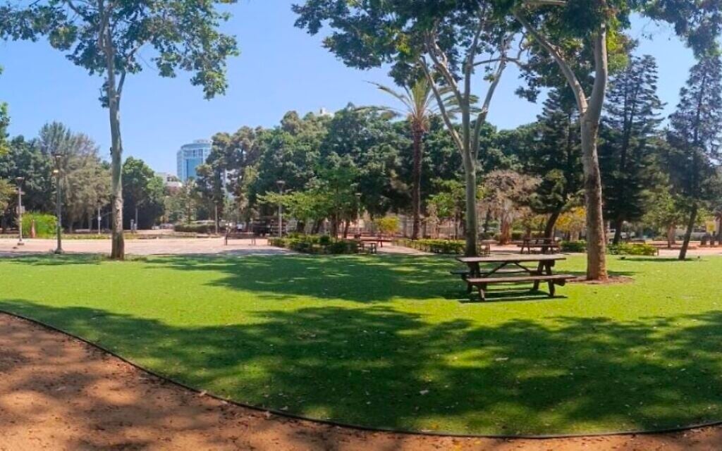 Green organizations: Ban synthetic grass, rubber flooring, old tires in public spaces
