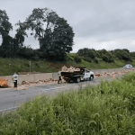 Hot dogs spill across Pennsylvania interstate after tractor trailer crash to clog commute for steamed motorists