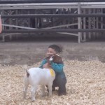 Texas boy’s heartwarming moment with prize-winning goat at animal show goes viral: ‘I love goats’