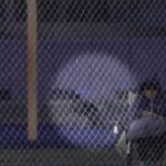 6-year-old boy dragged, attacked by wild coyote at California softball game