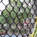 2 teen boys shot, wounded when gunman wearing all black opens fire on grounds of NYC housing complex: cops