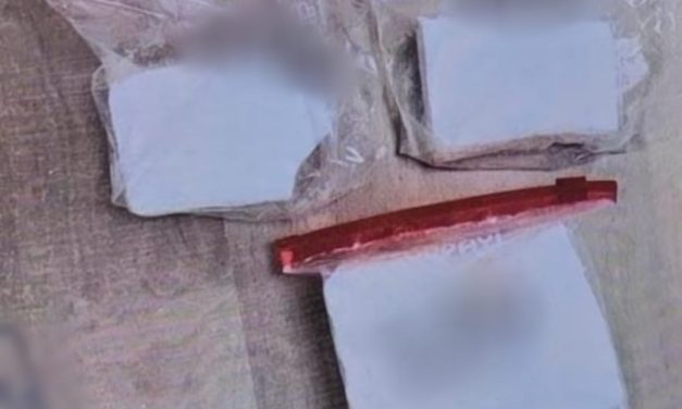 Police seize half a kilo of cocaine from a kindergarten teacher arrested for drug trafficking