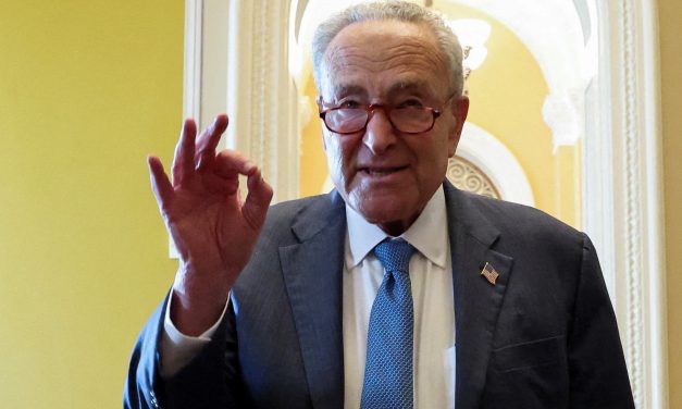 Our true friends in the US are in the Democratic Party – opinion