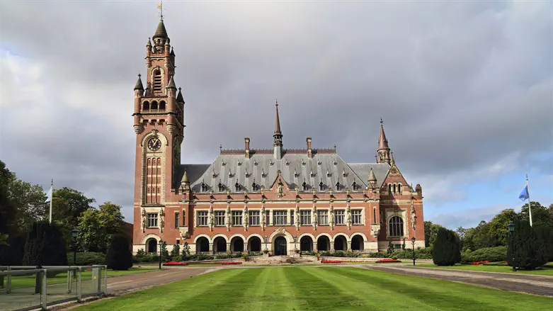 Prof. Anne Bayefsky: ‘ICJ has nothing to say about Israelis’ human rights’