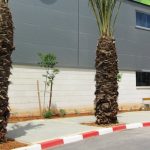 HP Israel to lay off up to 90 employees