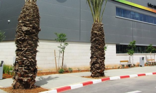 HP Israel to lay off up to 90 employees