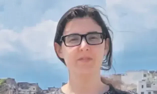 Elizabeth Tsurkov faces online abuse