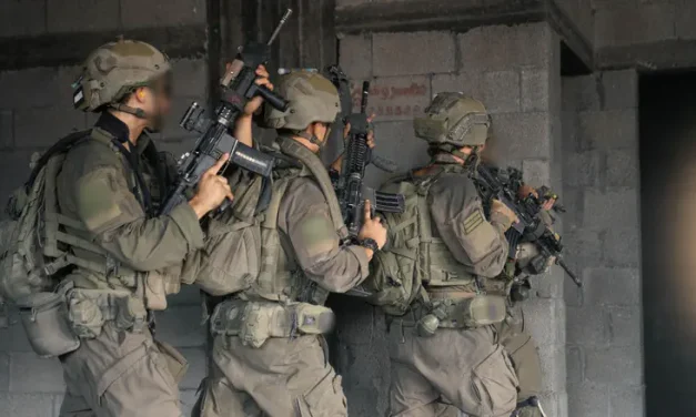 Expert team to investigate Gaza grenade accident that wounded 3 soldiers