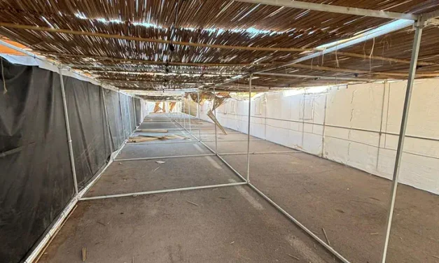 Watch: More than 500 seats in the largest IDF sukkah